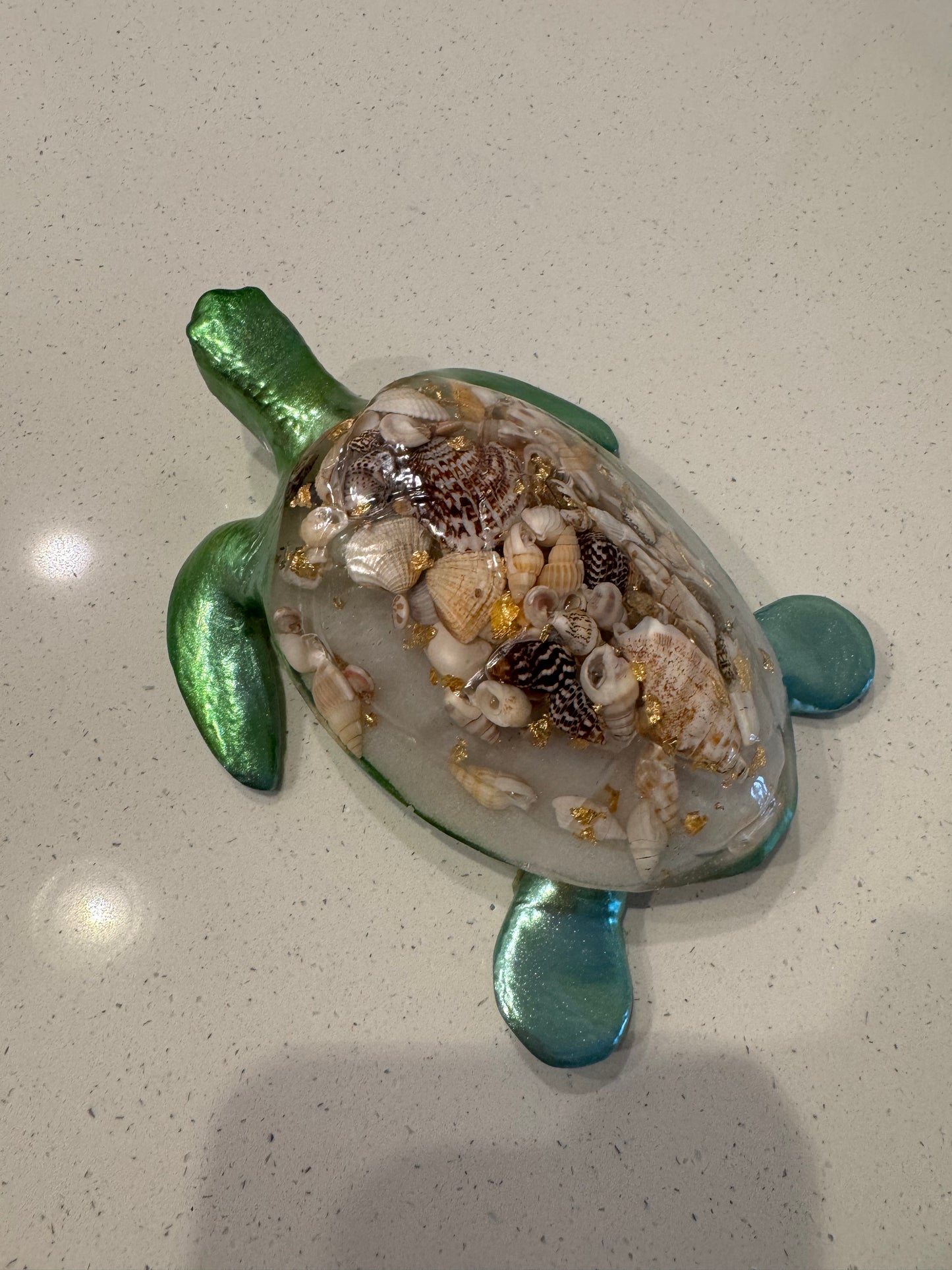 Customized turtle