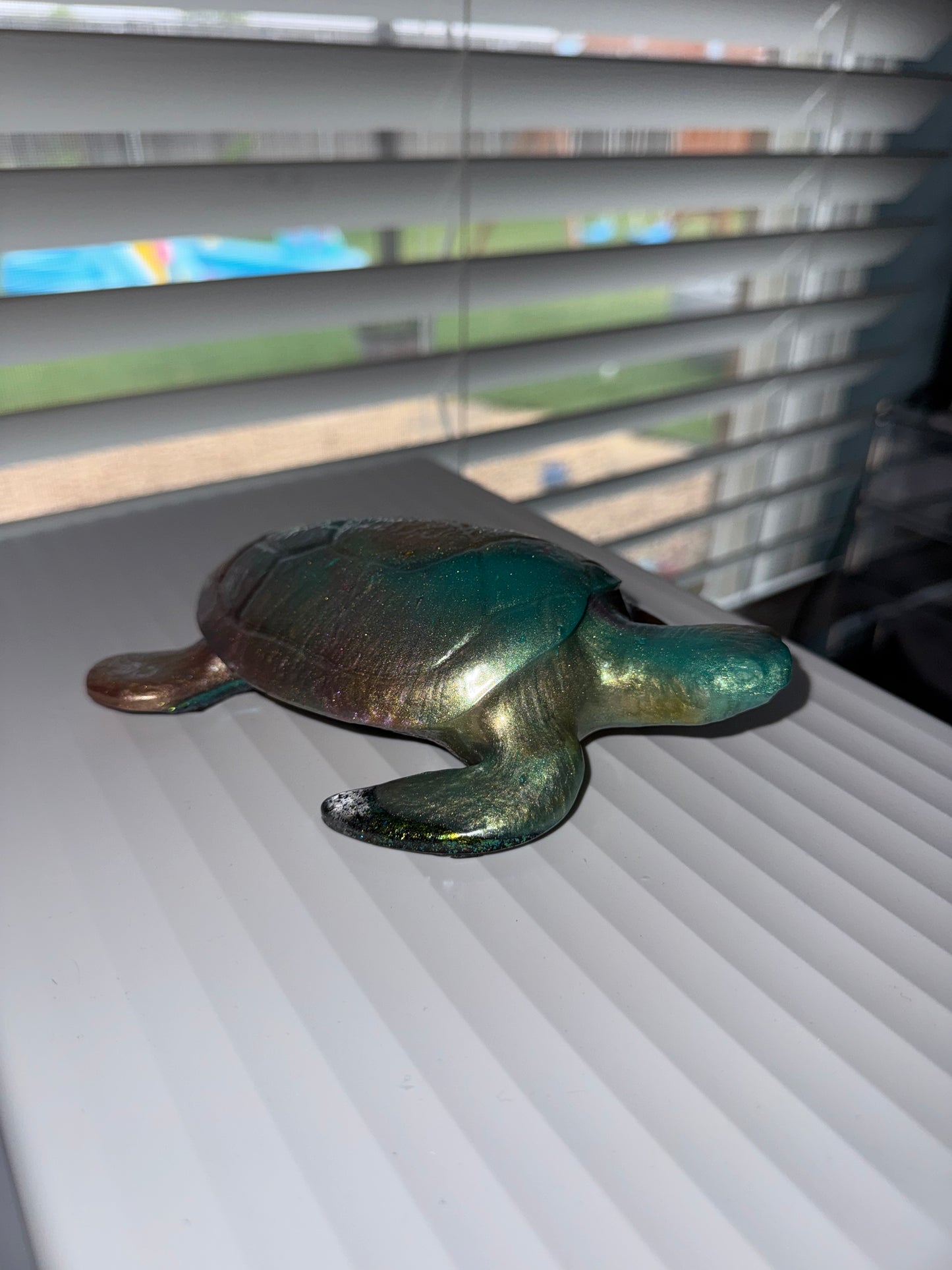 Chrome dusted turtle