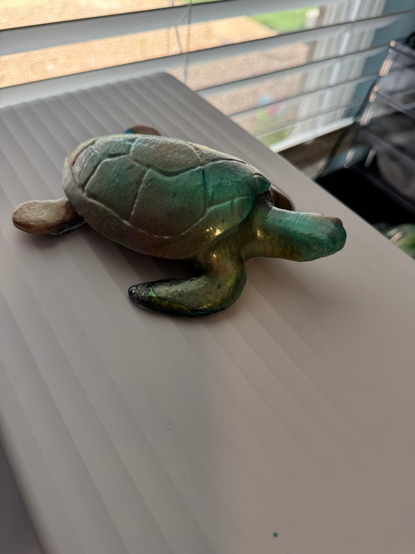 Chrome dusted turtle