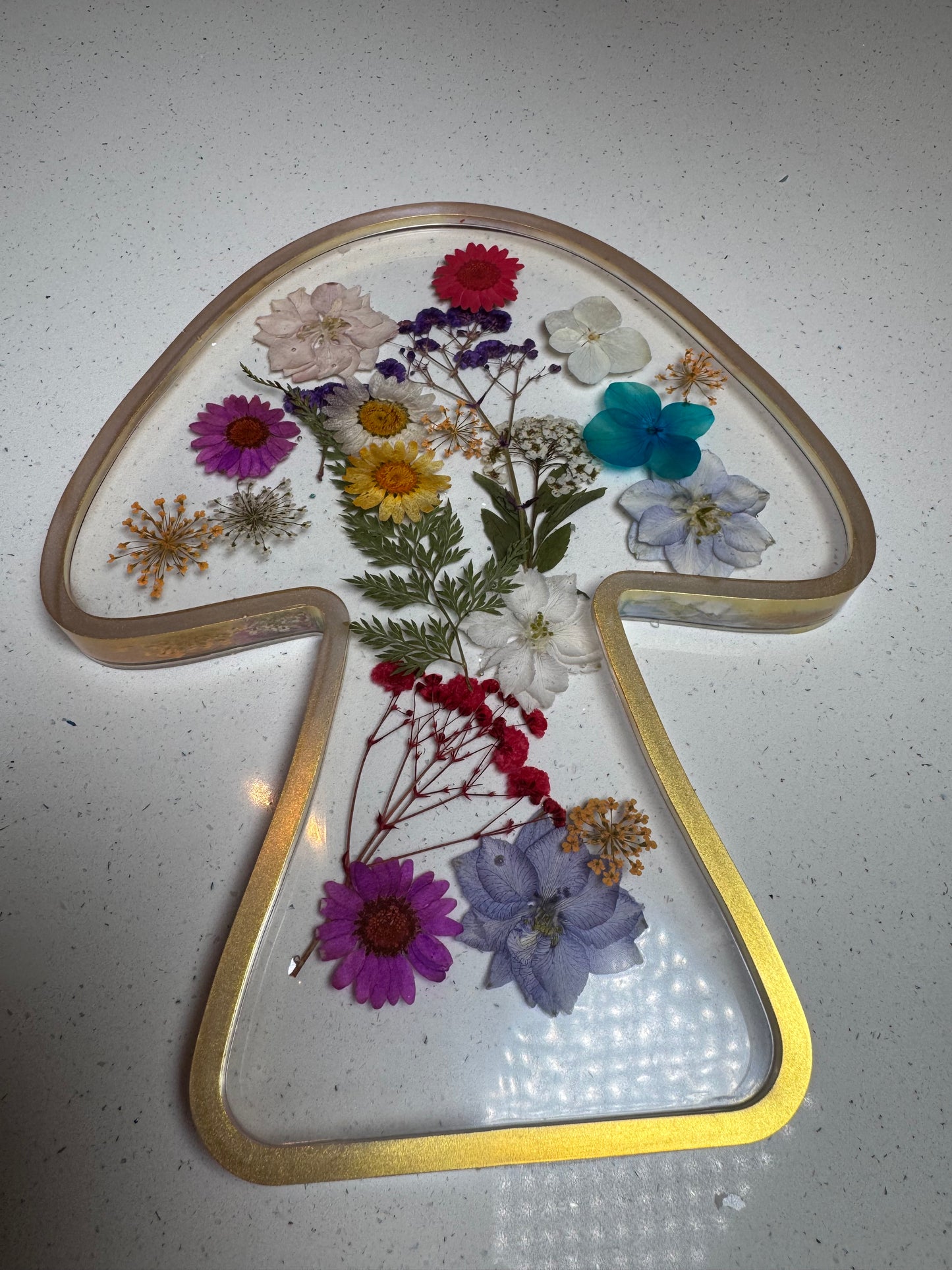 Mushroom tray on TikTok live